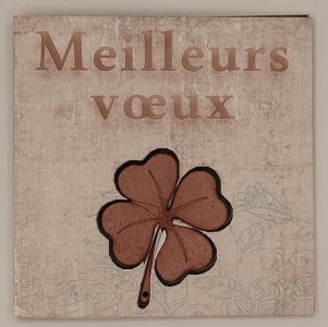 Carte_de_voeux_couverture.jpg